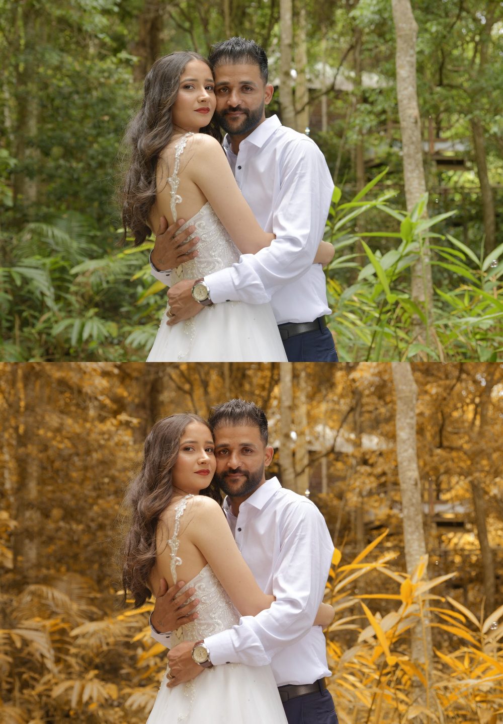 Autumn effect tutorial